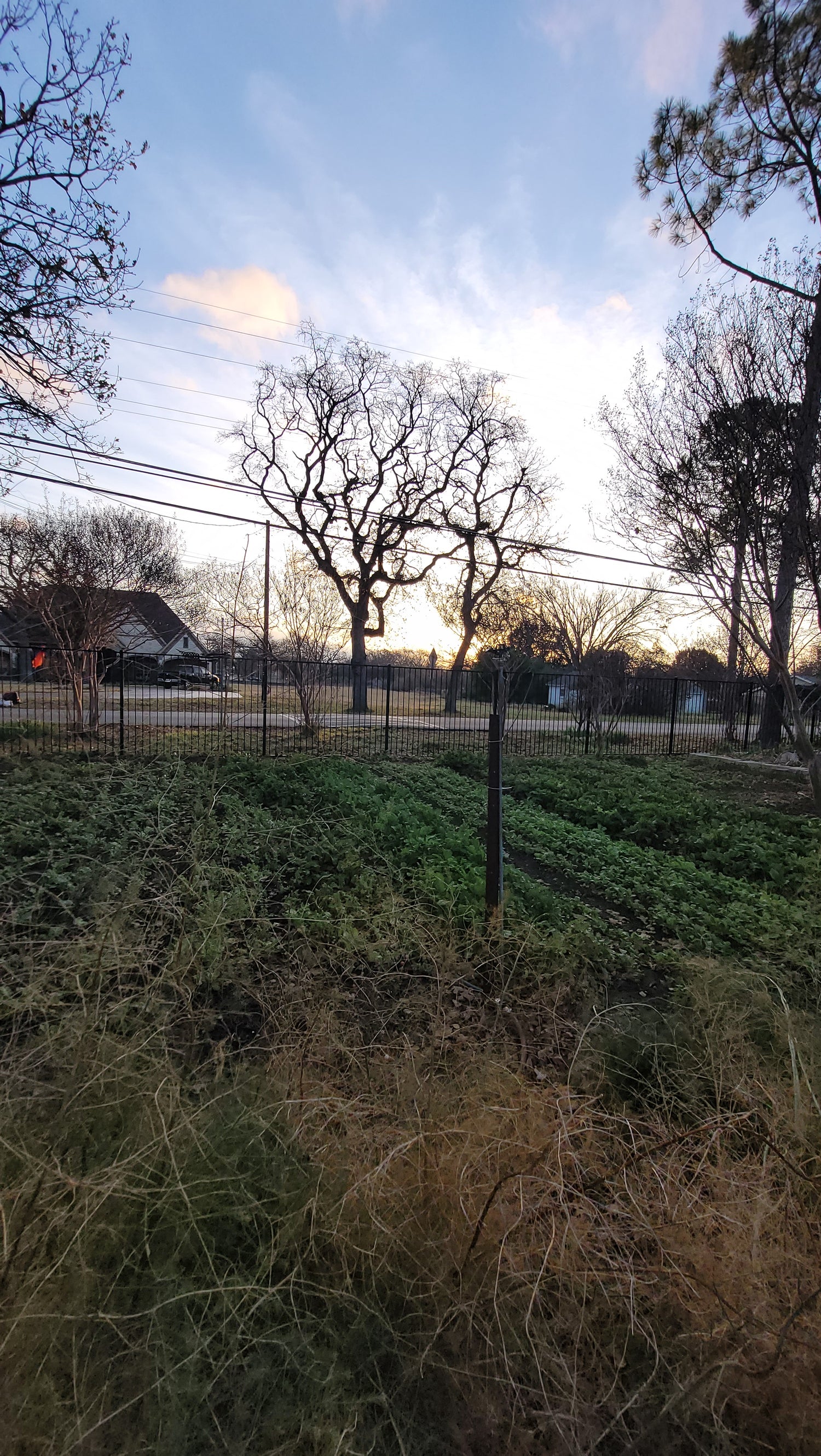 Workshops - Lawn to Farm Braga Farms