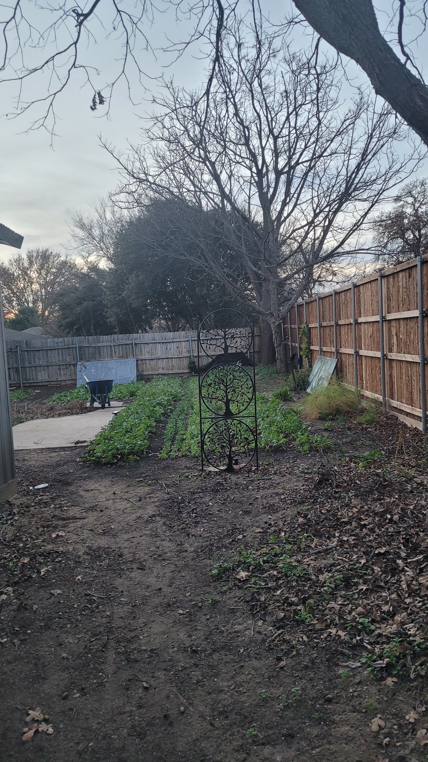 Workshops - Lawn to Farm Braga Farms