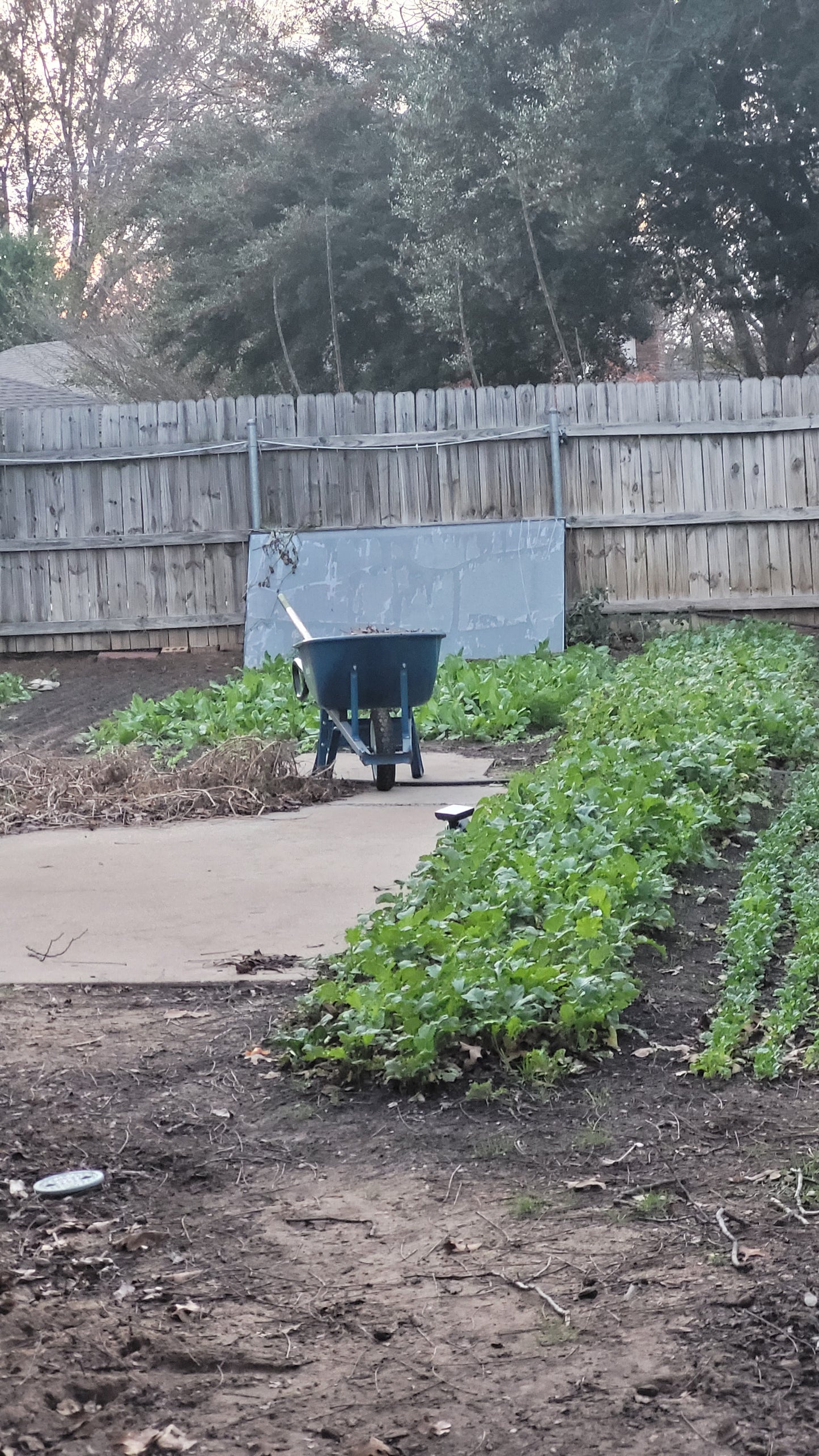 Workshops - Lawn to Farm Braga Farms