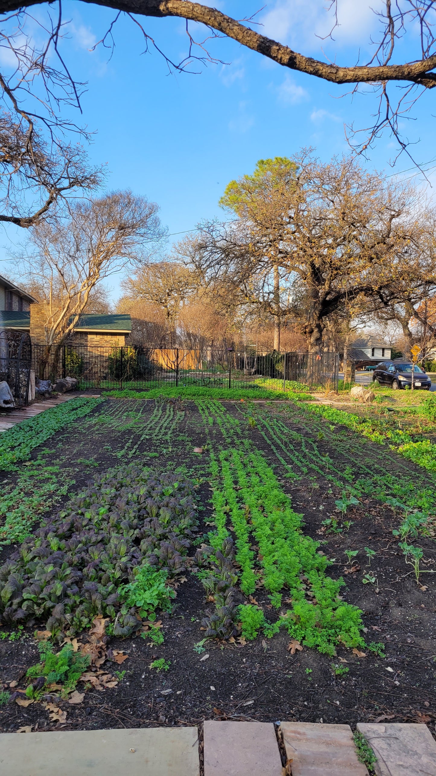 Workshops - Lawn to Farm Braga Farms