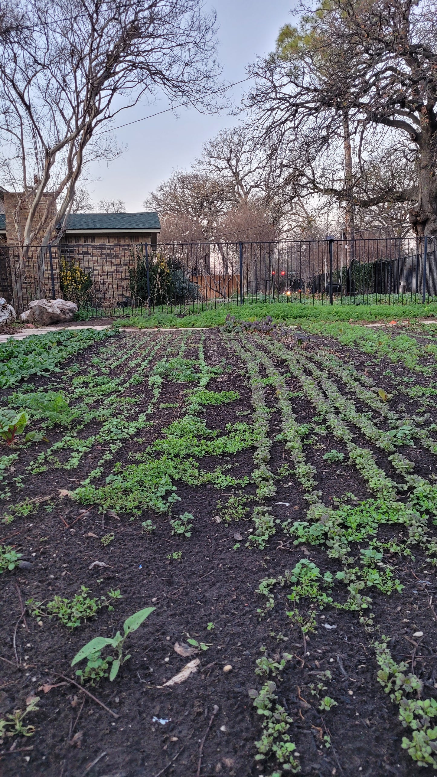 Workshops - Lawn to Farm Braga Farms