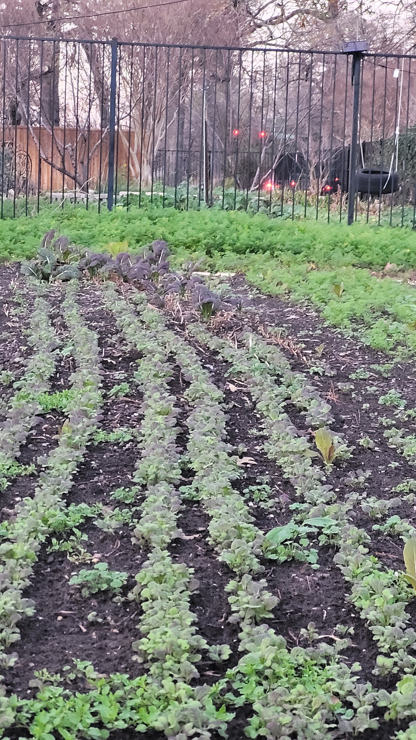 Workshops - Lawn to Farm Braga Farms