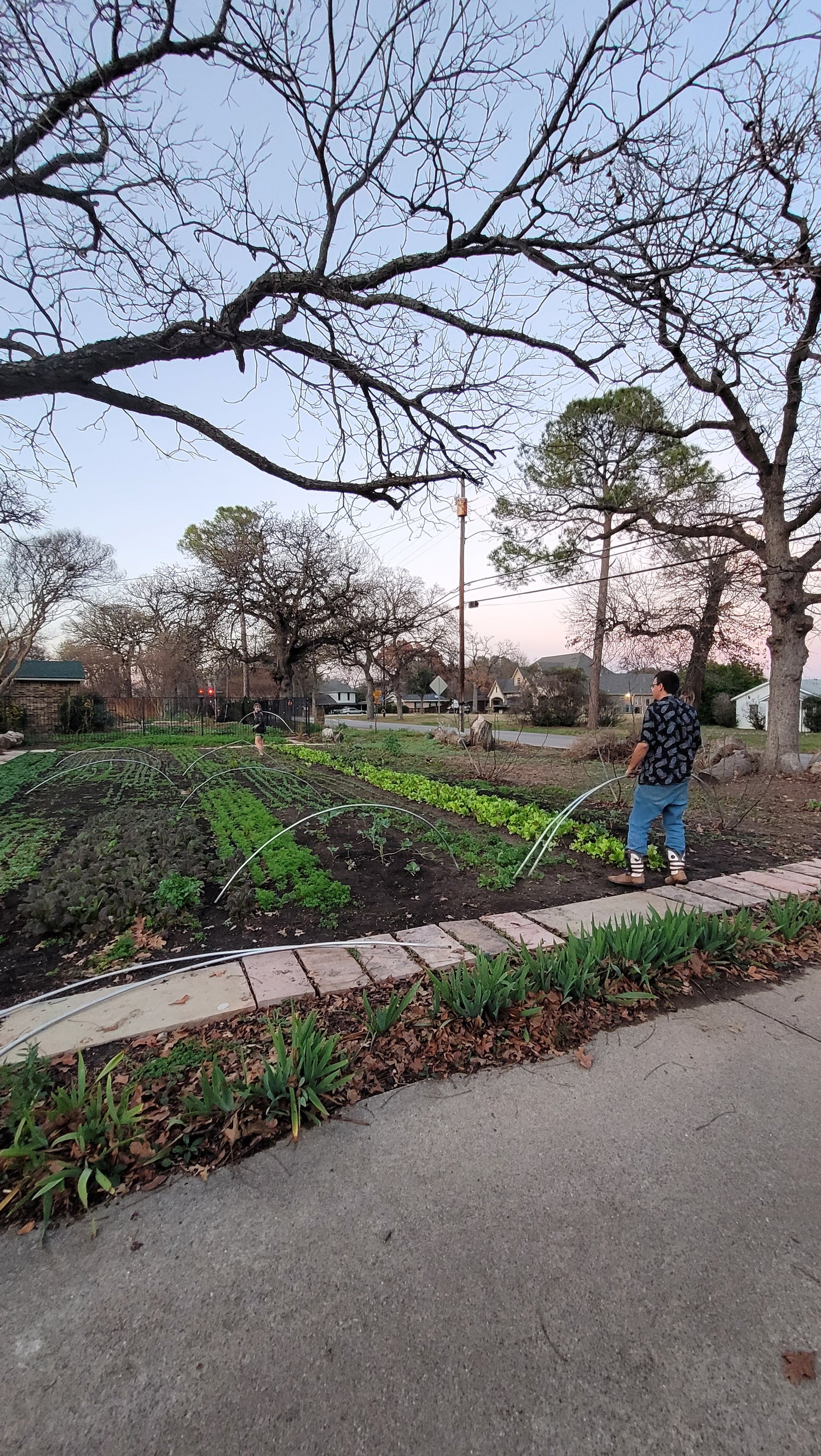 Workshops - Lawn to Farm Braga Farms