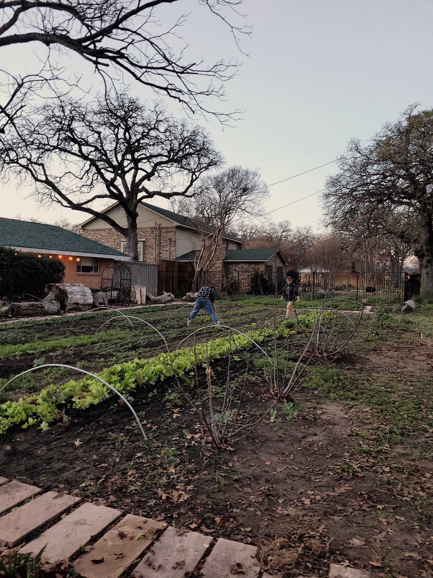 Workshops - Lawn to Farm Braga Farms