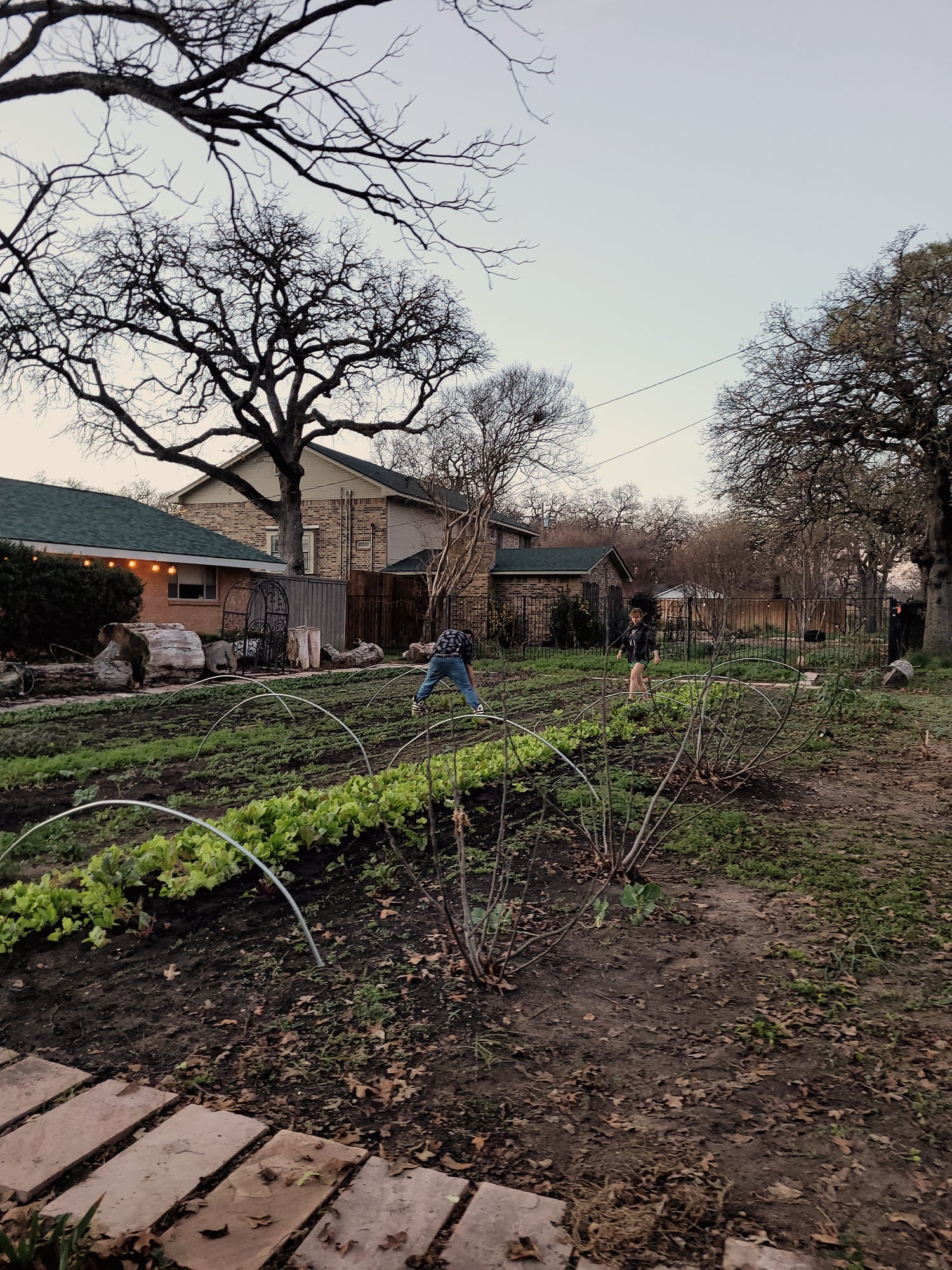 Workshops - Lawn to Farm Braga Farms