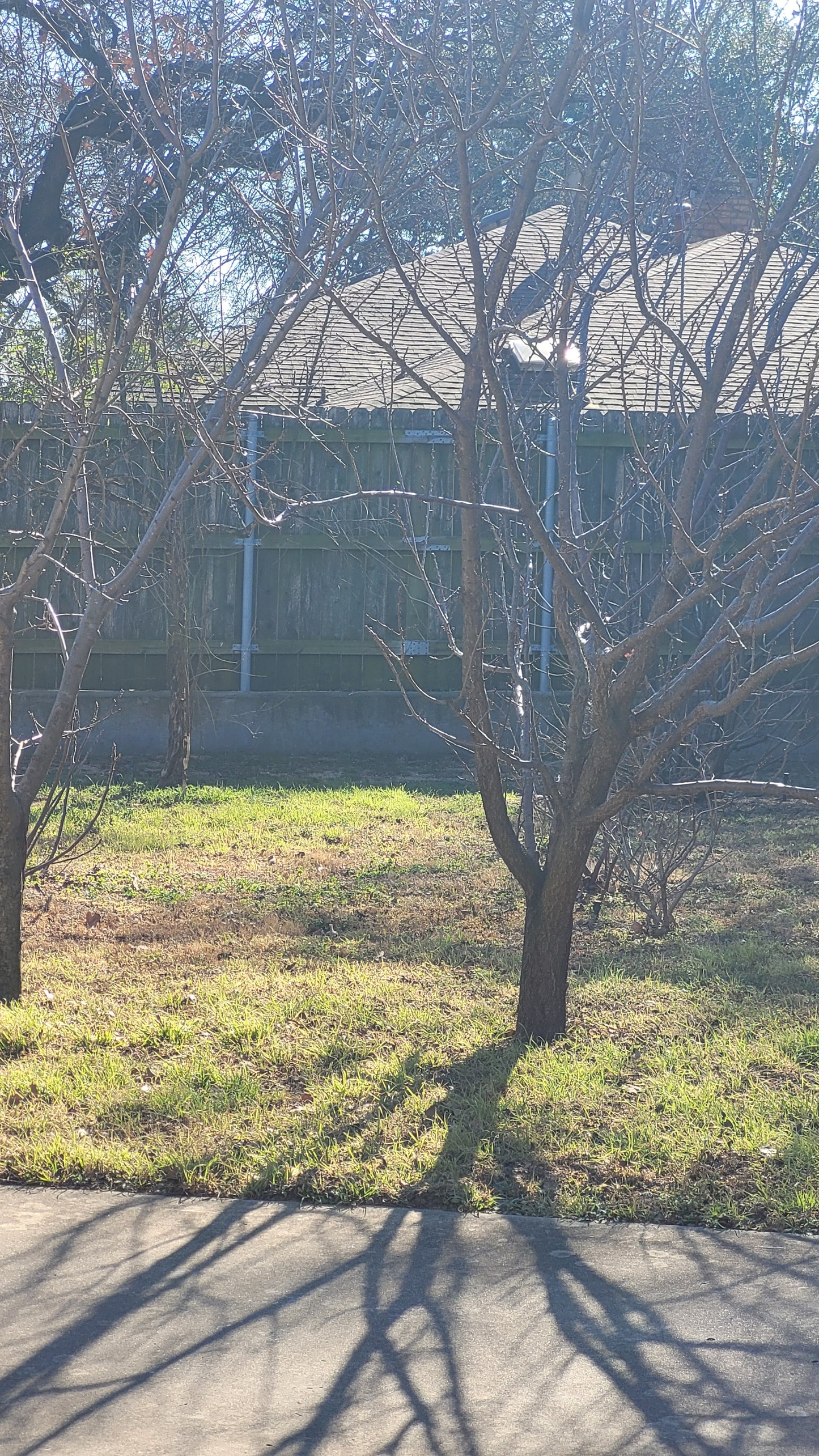 Workshops - Lawn to Farm Braga Farms