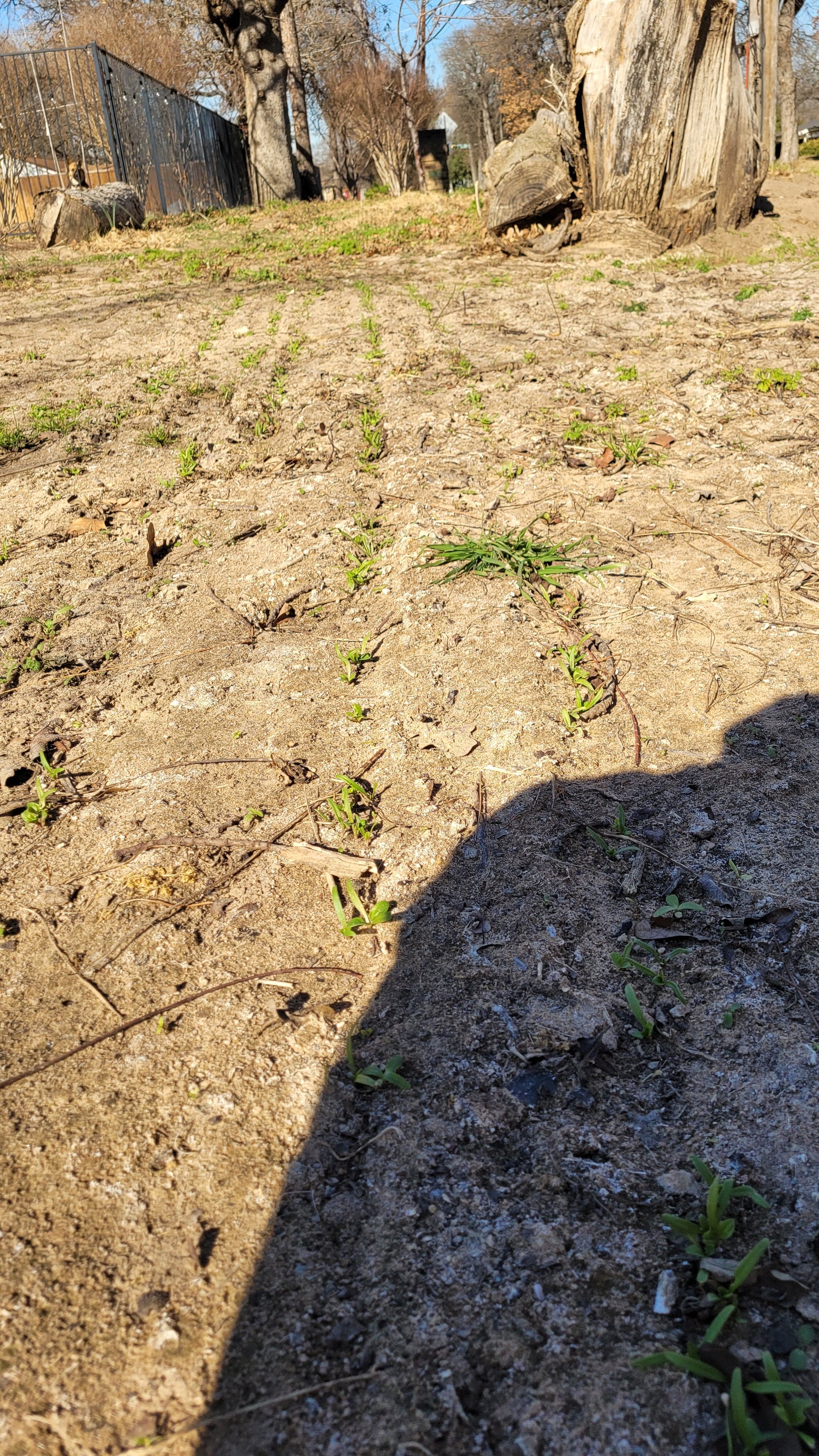 Workshops - Lawn to Farm Braga Farms