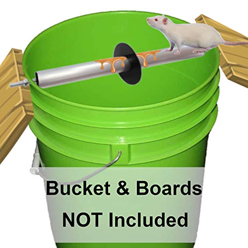 Mouse Trap Bucket Mice Rats Roller Trap Bucket Mousetrap Catcher for Indoor  Outdoor 