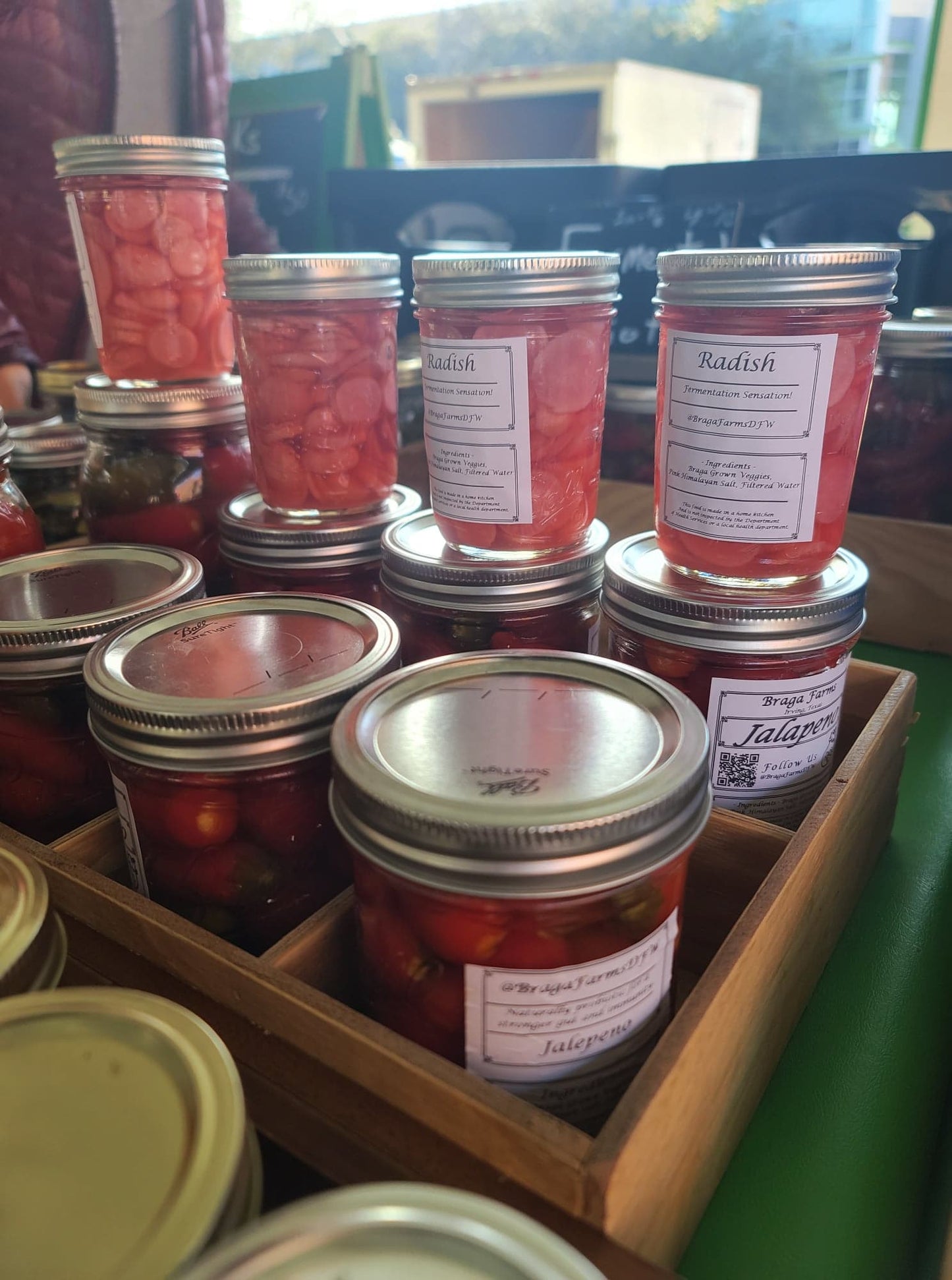 Fermented Radishes