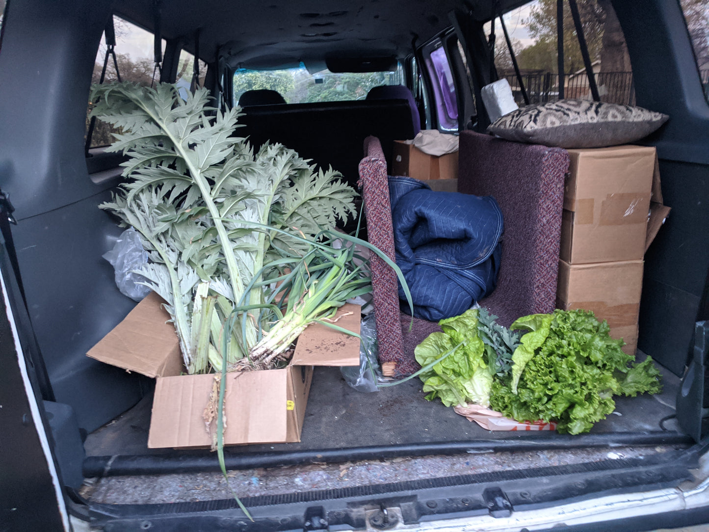 $20 Special Pack Braga Farms