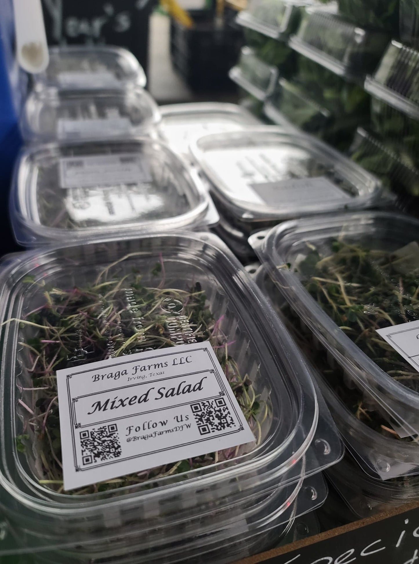 Microgreens - 3 Pack Braga Farms