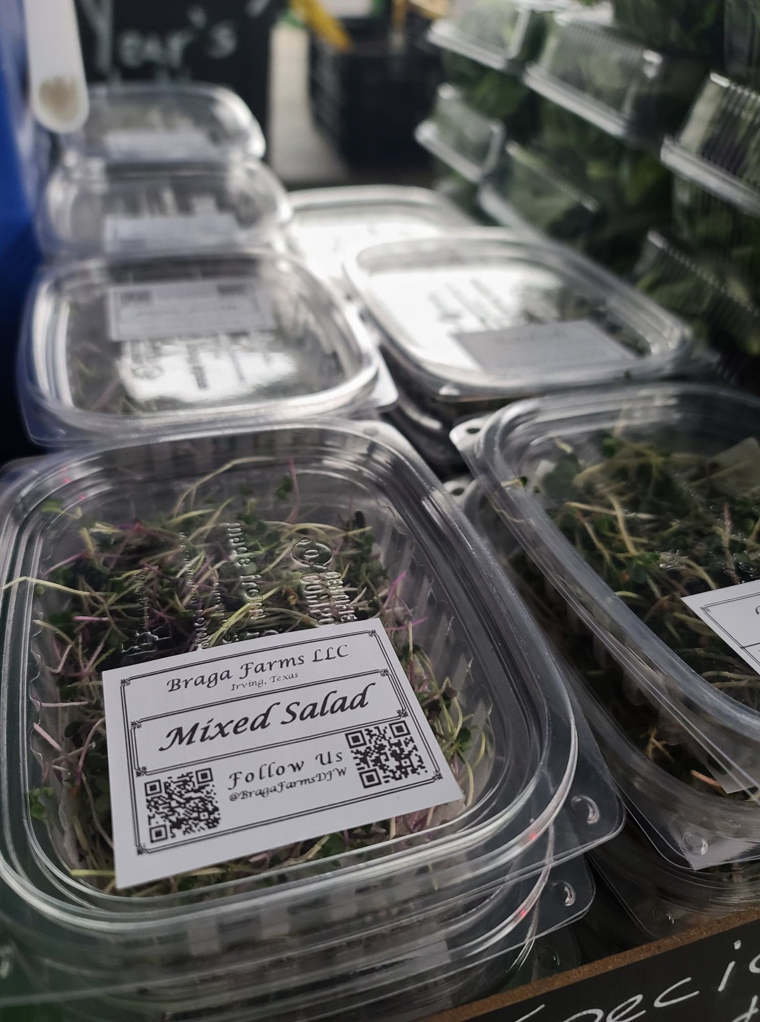 Microgreens - 3 Pack Braga Farms