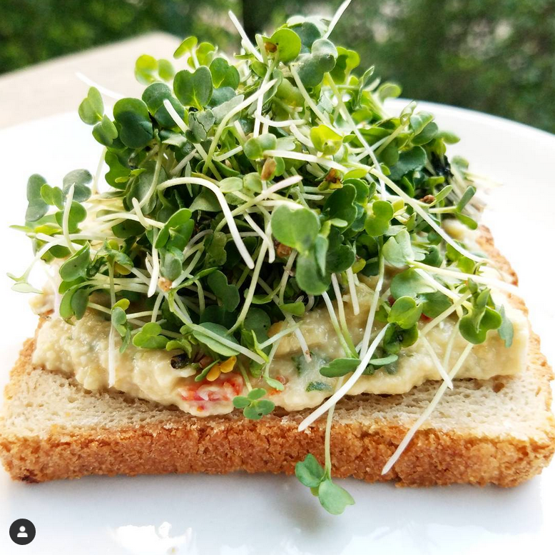 Microgreens - Full Tray Braga Farms