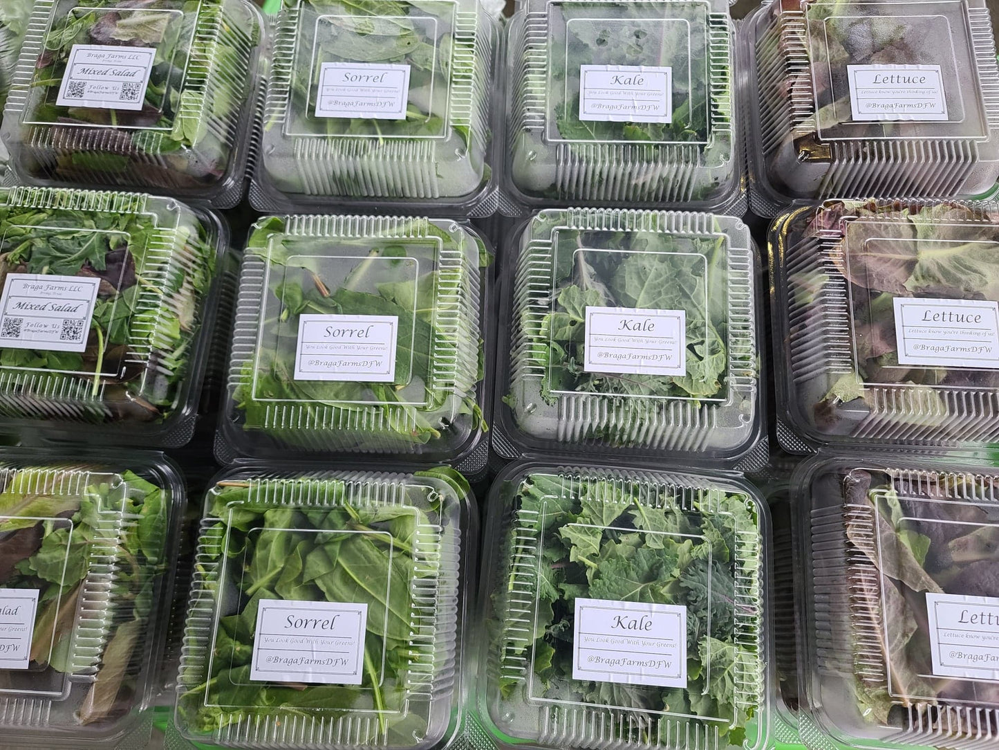 Braga Farms Salads Mustard Arugula Sorrel Mixed Salad Lettuce
