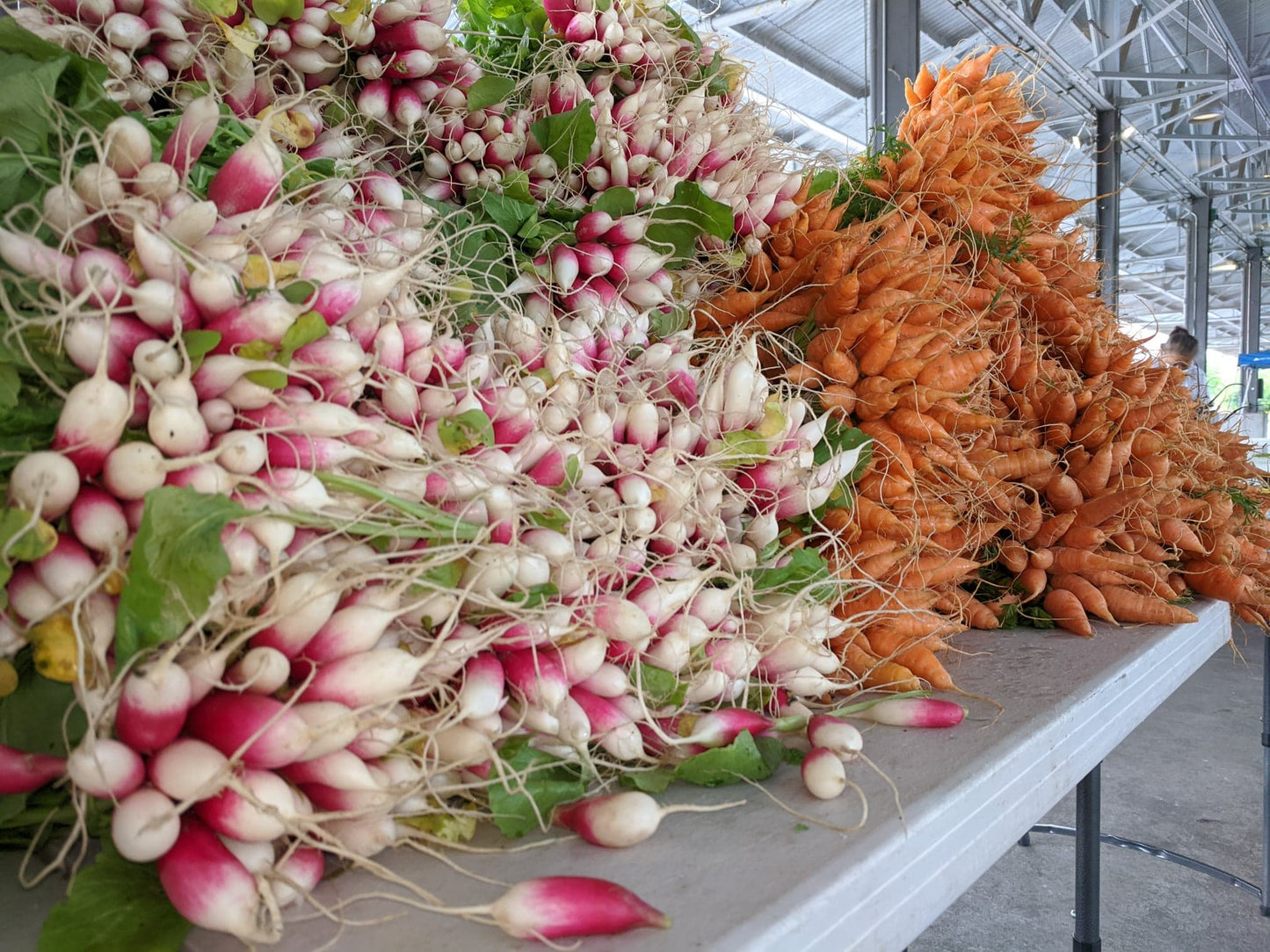 Braga Farms Roots Carrots and French Breakfast Radishes