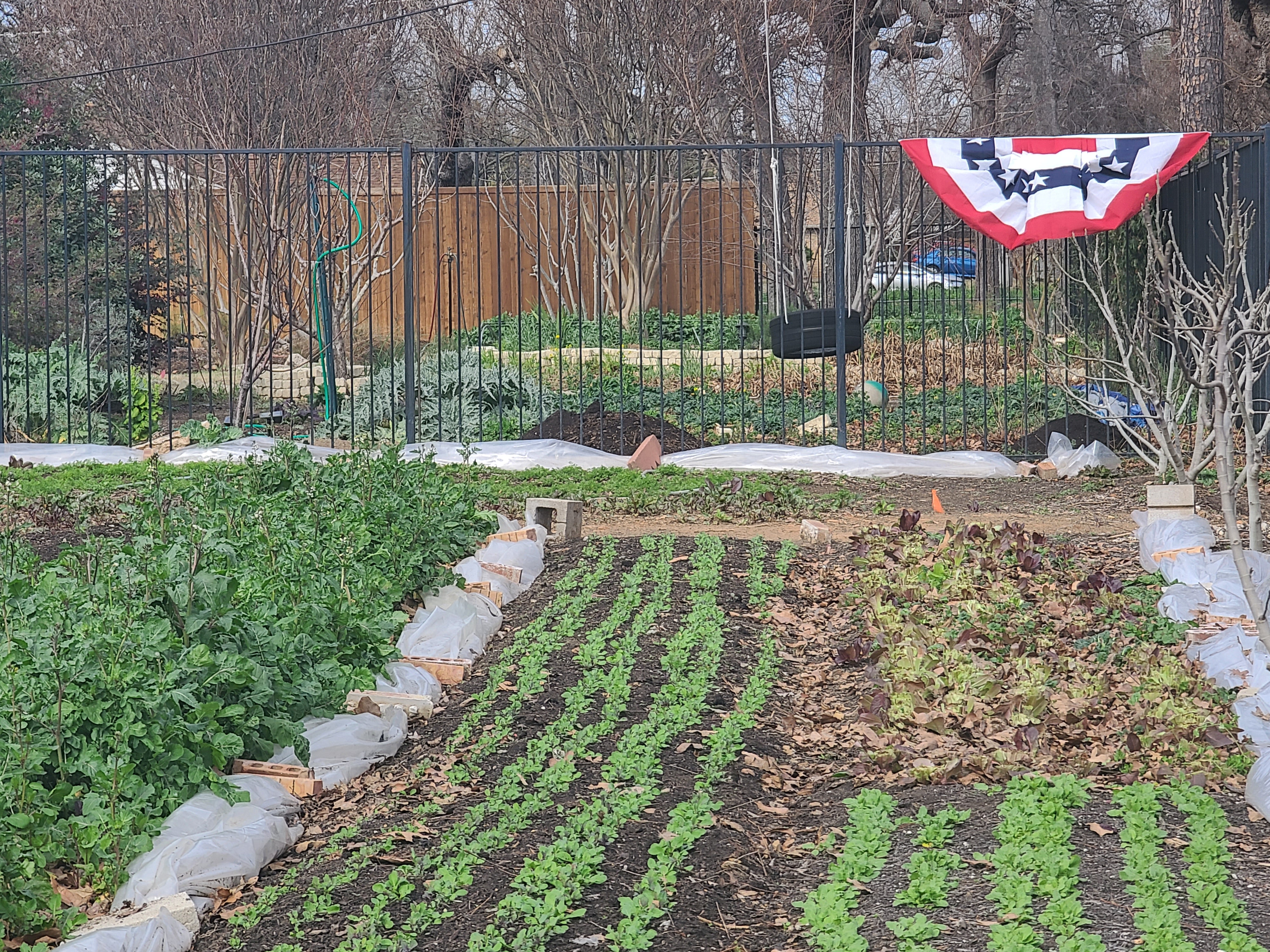 Farmsteading Roots