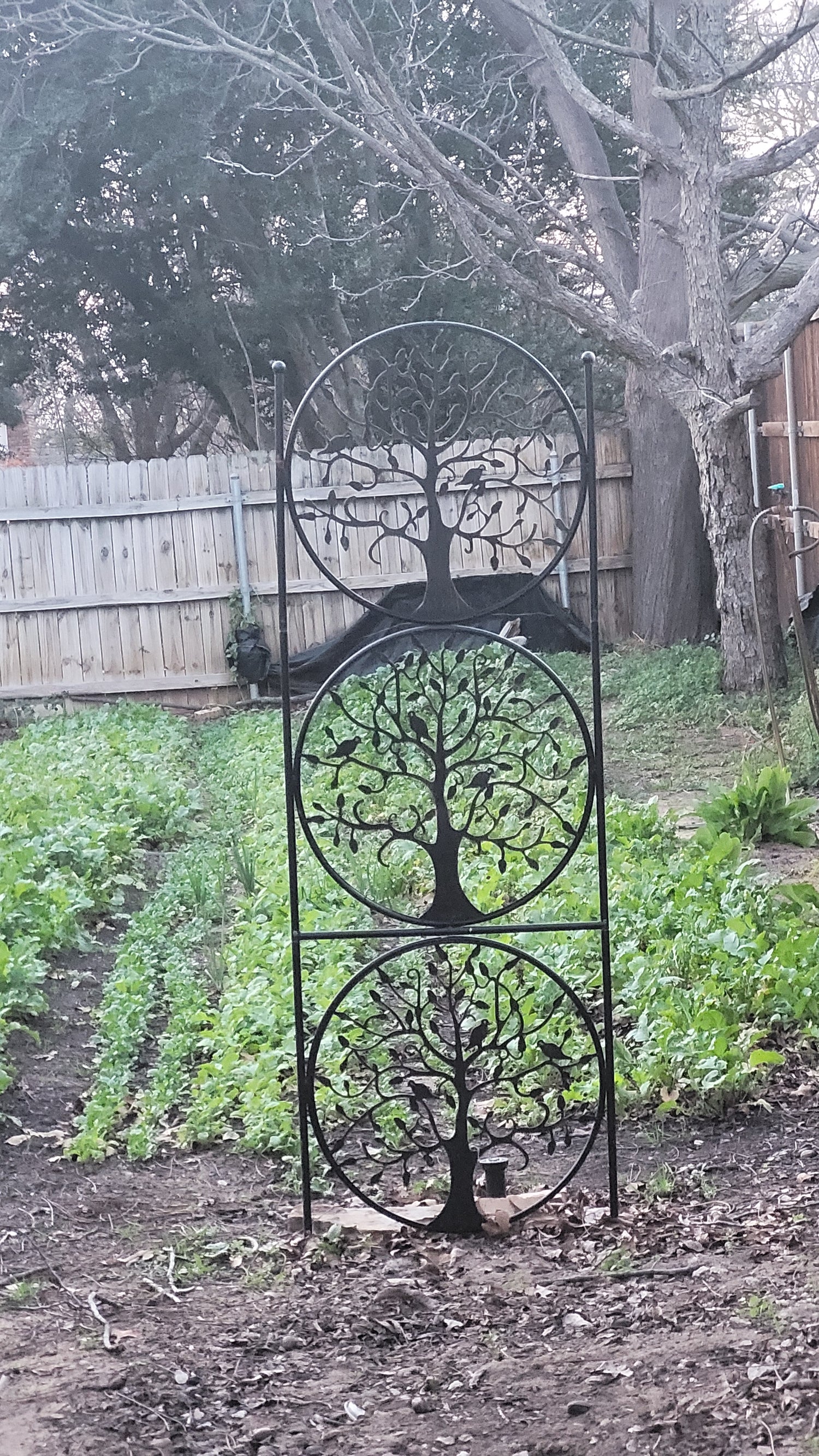 Workshops - Garden Beds & Seasonal Prep