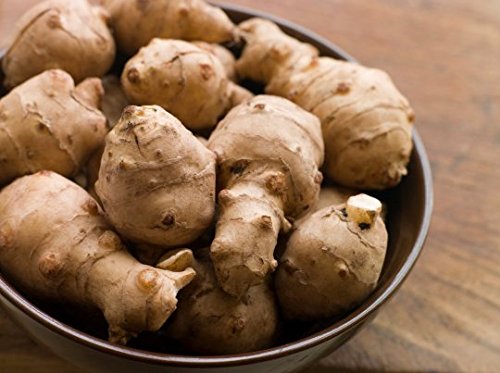 Jerusalem Artichoke (Organic) 1.5 Pounds