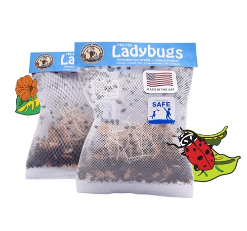 3000 Live Ladybugs - (2 X 1500 Live Ladybugs) - Guaranteed Live Delivery!