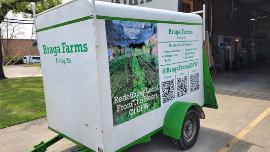 Workshops Wednesday Workalongs | Braga Farms