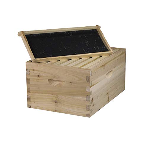 Bee Hive Complete with Frames & Wax Coated Foundations (NU8-2D1M) 