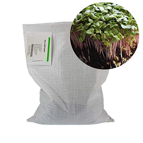 Radish Sprouting Seed - Red Arrow Variety - 5 Lb Bulk Seed - Heirloom Radish Sprouts - Non-GMO Sprouting and Micro Radishes