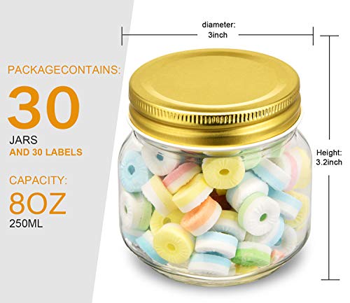 Rainforce Mason Jars 8 oz-30 Pack- Small Mason Jars With Gold Lids -1/