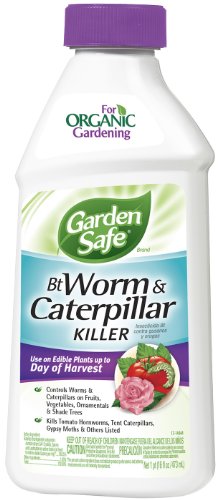Garden Safe Brand Bt Worm & Caterpillar Killer 16 Ounces, Concentrate