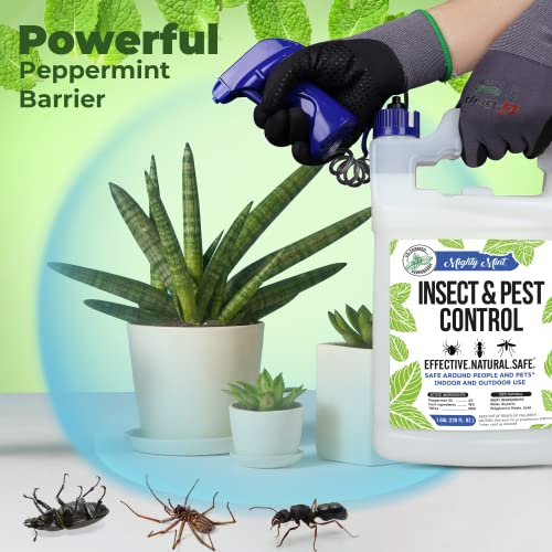Mighty Mint Gallon (128 oz) Insect and Pest Control Peppermint Oil - Natural Spray for Spiders, Ants, and More - Non Toxic