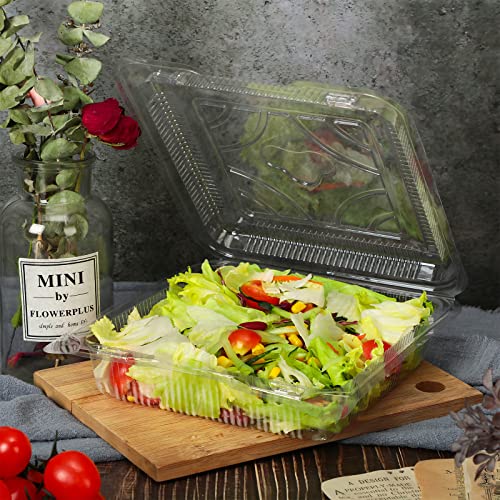 Clear Plastic Boxes for Food and Merchandise, Plastic Boxes For
