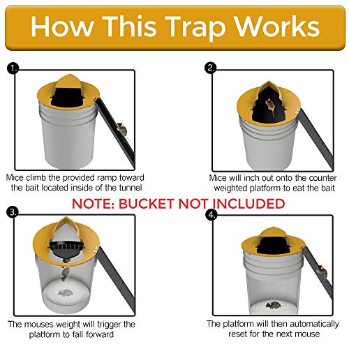 Bucket Mouse Trap, Humane Mouse Trap Bucket Rat Trap Flip and Slide Mouse  Trap Mouse Traps Indoor Outdoor Mice Traps Flip N Slide Bucket Lid Mouse  Trap 5 Gallon Bucket Compatible (Yellow)