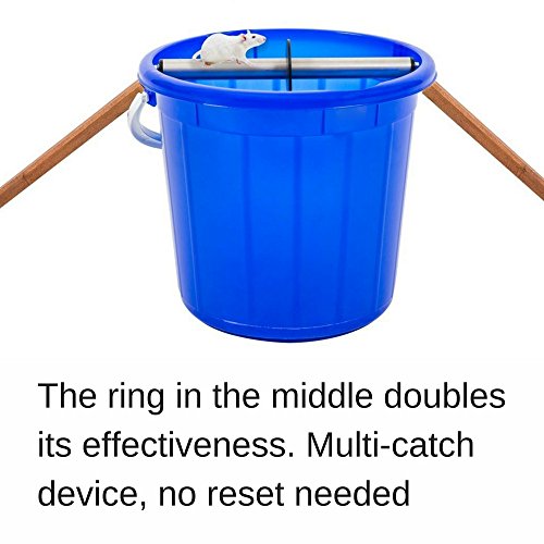Odesos Mouse Trap, Live Catch and Release Bucket Spin Roller with an Original Ring for Mice Rats Rodents. Humane. Auto Rolling Reset. Safe for Children and Pets Works Outdoors and Indoors