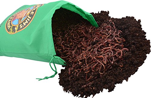 Uncle Jim's Worm Farm 2000 Count Red Wiggler Worms