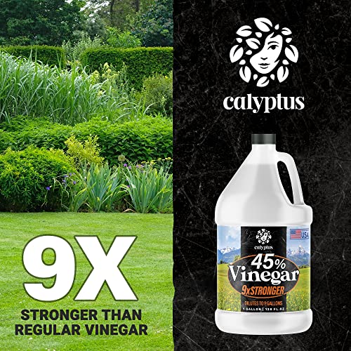 Calyptus 45% Pure Super Concentrated Vinegar | Dilutes to 9 Gallons | 9x Power Vinegar | Industrial Use, 1 Gallon