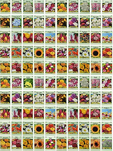 Set of 100 Assorted Valley Green Flower Seed Packets! Flower Seeds in Bulk - 20+ Varieties Included