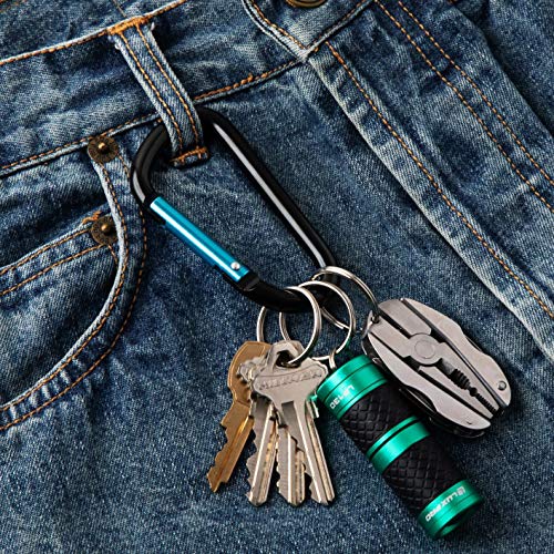 Carabiner 12 Pack - 3" Aluminum Carabiner D Shape Buckle Pack, Keychain Clip, Spring Snap Key Chain Clip Hook Buckle