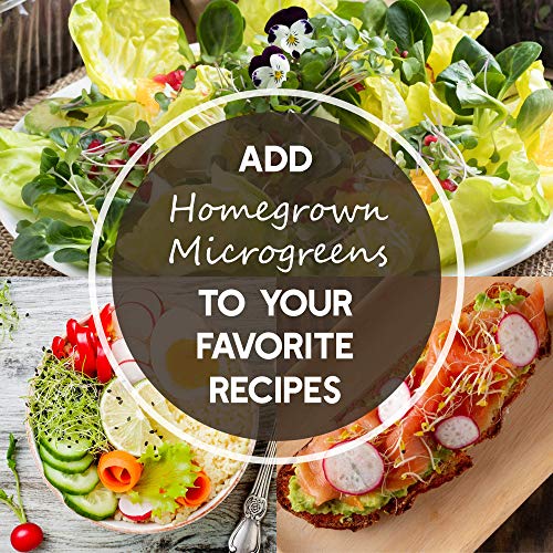 Basic Salad Mix Microgreens Seeds | Non-GMO Micro Green Seed Blend | Broccoli, Kale, Kohlrabi, Cabbage, Arugula, & More (5 Pounds)
