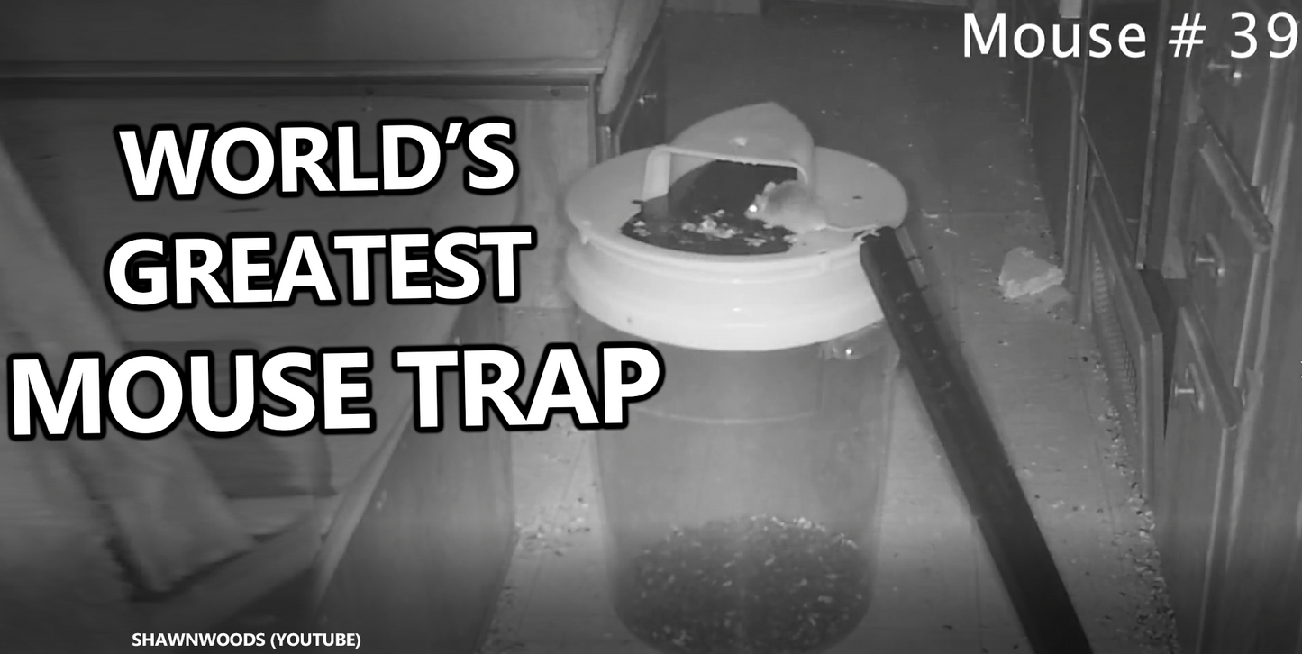 RinneTraps - Flip N Slide Bucket Lid Mouse Trap, Humane or Lethal