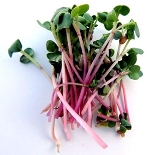 Microgreens - Single