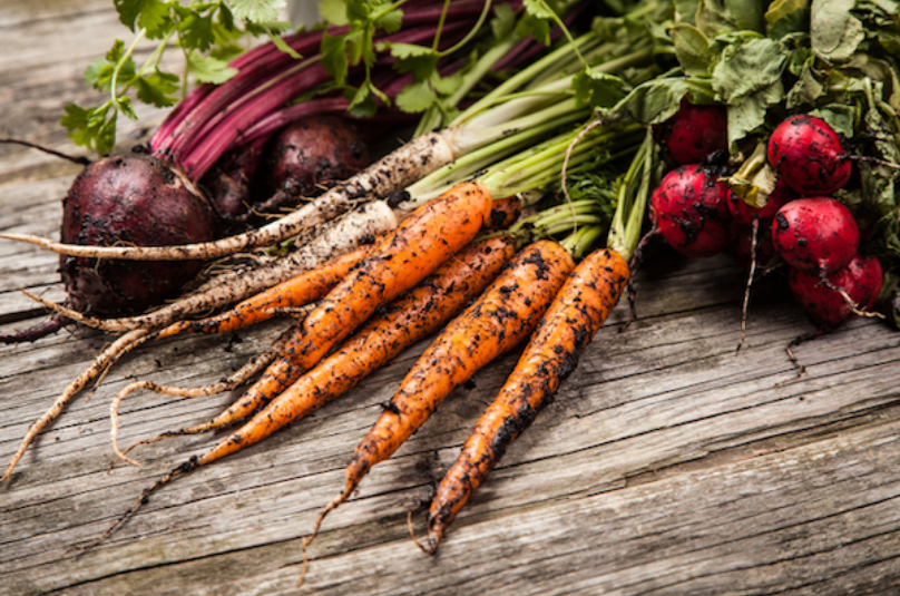 Braga Farms Roots Carrots and Cherry Bell Radishes